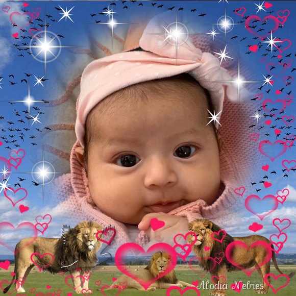 Meet your Posher, Danny - Picture 1 of 1